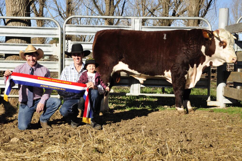 LAST YEAR: Judge Andrew Klippel, Sugarloaf Creek Herefords, Towong, Victoria with Grant Kneipp, Battalion Herefords, Dundee, and his son Travis. 