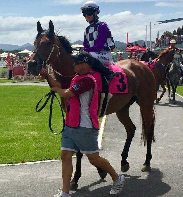 Fine form: Amajill - owned by a syndicate of Deepwater locals - is pictured being ridden by jockey Rachel Murray in Coffs Harbour last weekend, where she won.