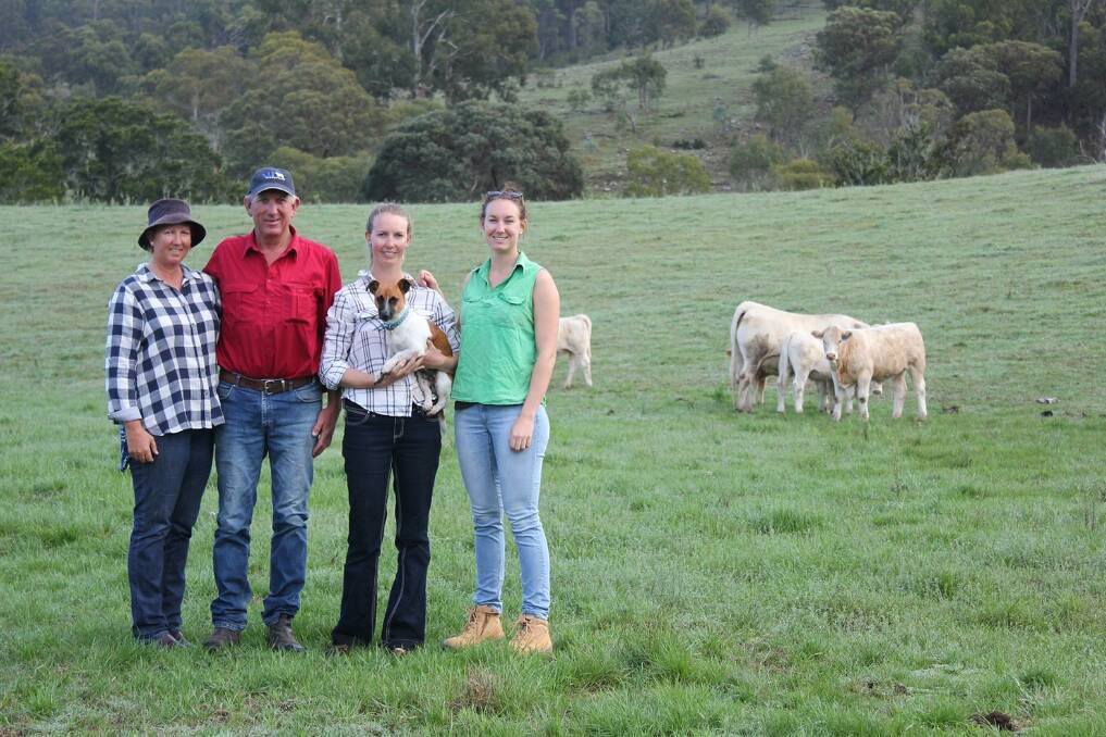 Wakefield wonders: Jenny and Greg Frizell with their daughters Lucy (holding family hound Scout) and Claire in the paddock at Wakefield with some Charolais females.