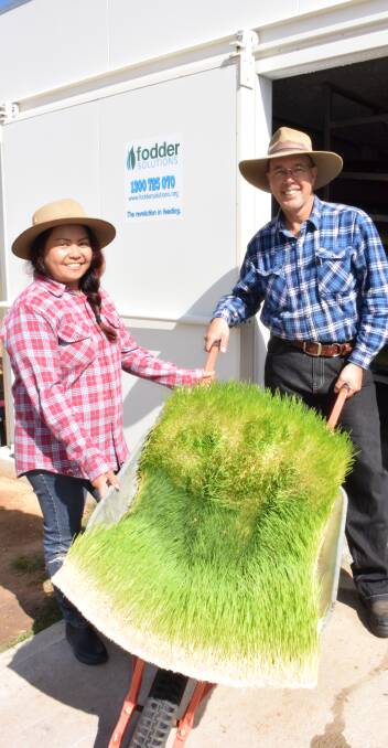 WATCHING THE GRASS GROW: Murna and Russell Hannemann are hosting a Fodder Solutions field day.