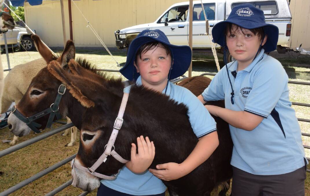 Brothers Rhys and Zak have a cuddle with Enya the donkey with Enya's mym Dunessa close at hand.