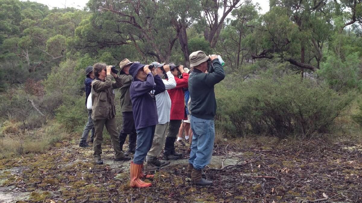 Tenterfield Naturalist Janet White guided participants on their birdwatching endavours in Boonoo Boonoo National Park.