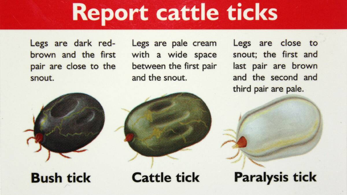Yes we do get ticks here