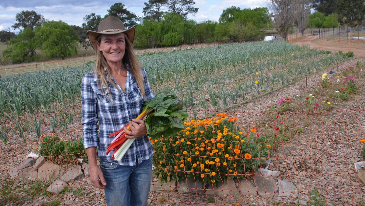 Farmers market coordinator Lana Tyacke is working on her own market garden to help support the sustainability of the endeavour.