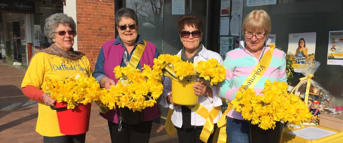 Janet Hayne, Sue Lucas, Ailsa Brown, Jenny Condrick look good in yellow on Daffodil Day in Rouse St.
