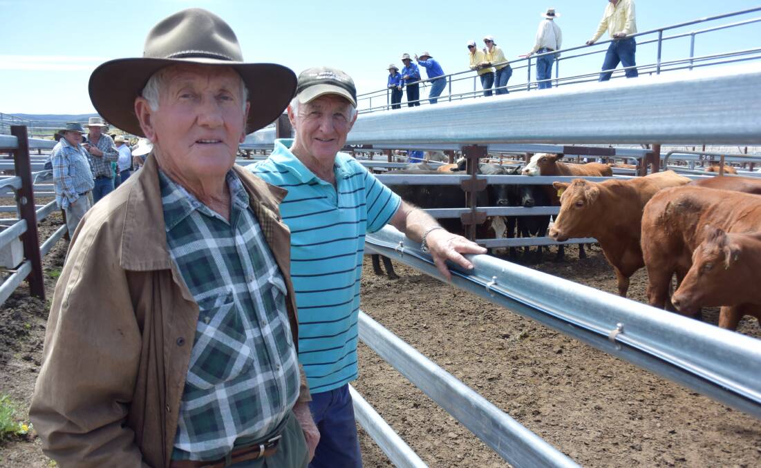 LOOKING GOOD: Jeff Campbell and Neil Rossington check out the offering at the cattle sale on Monday.