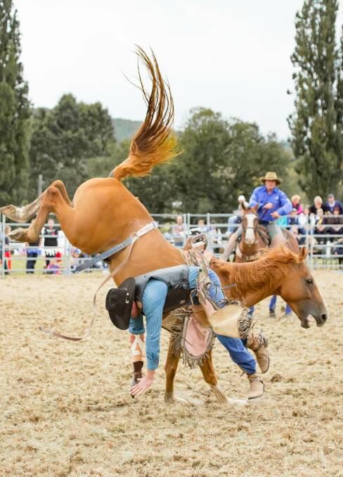 HEADING HERE: There'll be spills and thrills with the first round of the National Rodeo Association finals to be held at the Tenterfield Showground. (Photo by Peter Reid.)