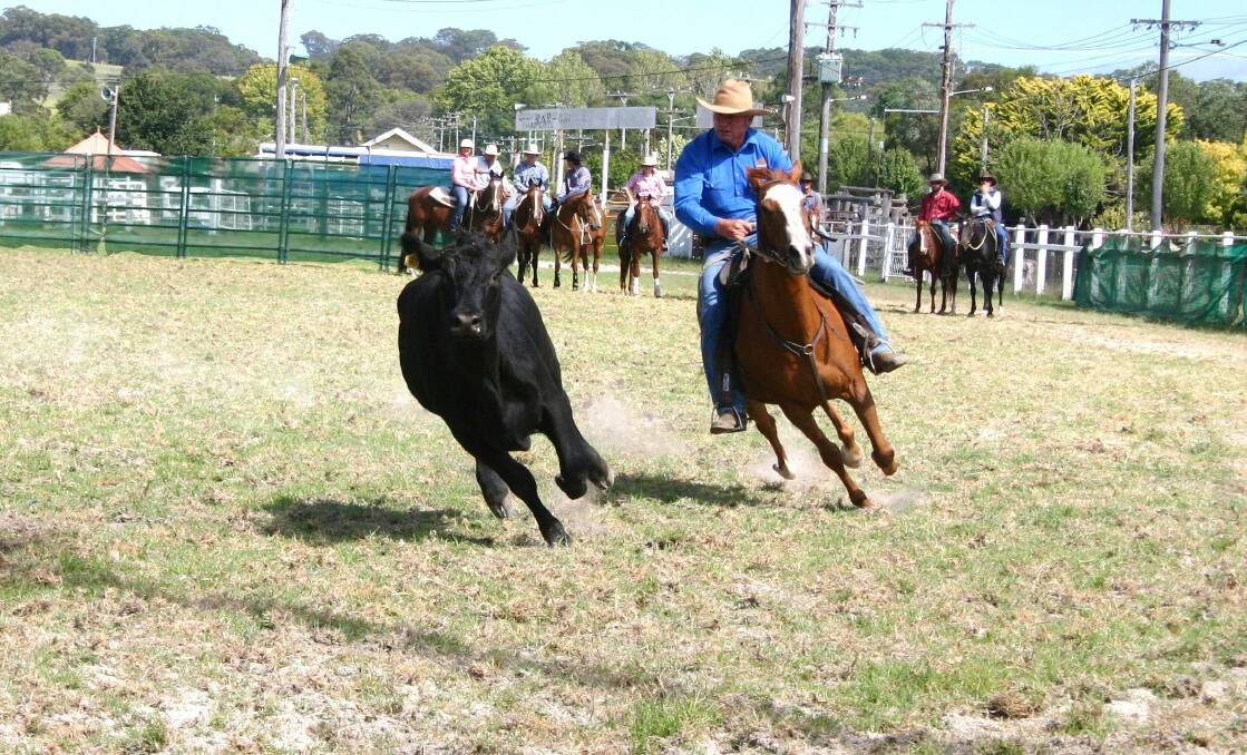 Campdraft committee chairman Peter Petty competes at the last Show Society campdraft back in 2015.