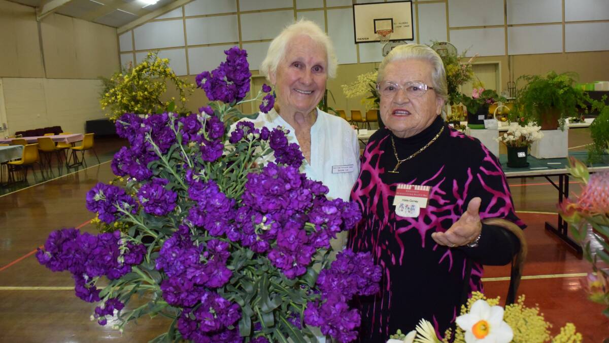 Dorothy Cox, pictured here with local gardener Hilda Corney and her winning stocks in 2016, is back again on September 9 to judge this year's Spring Flower Show.