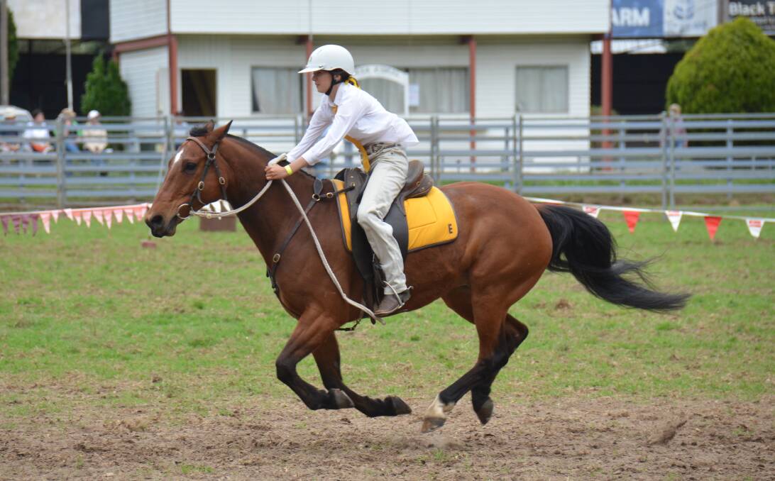 FULL STEAM AHEAD: Emmaville's Lily Coldham and Motivator head for home in the barrel race at Glen Innes. 