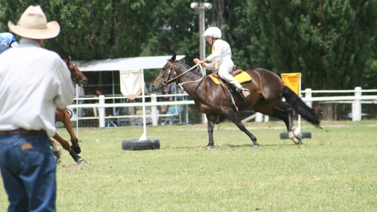Emmaville Pony Club's Brad Dunn in action at the jambouree.