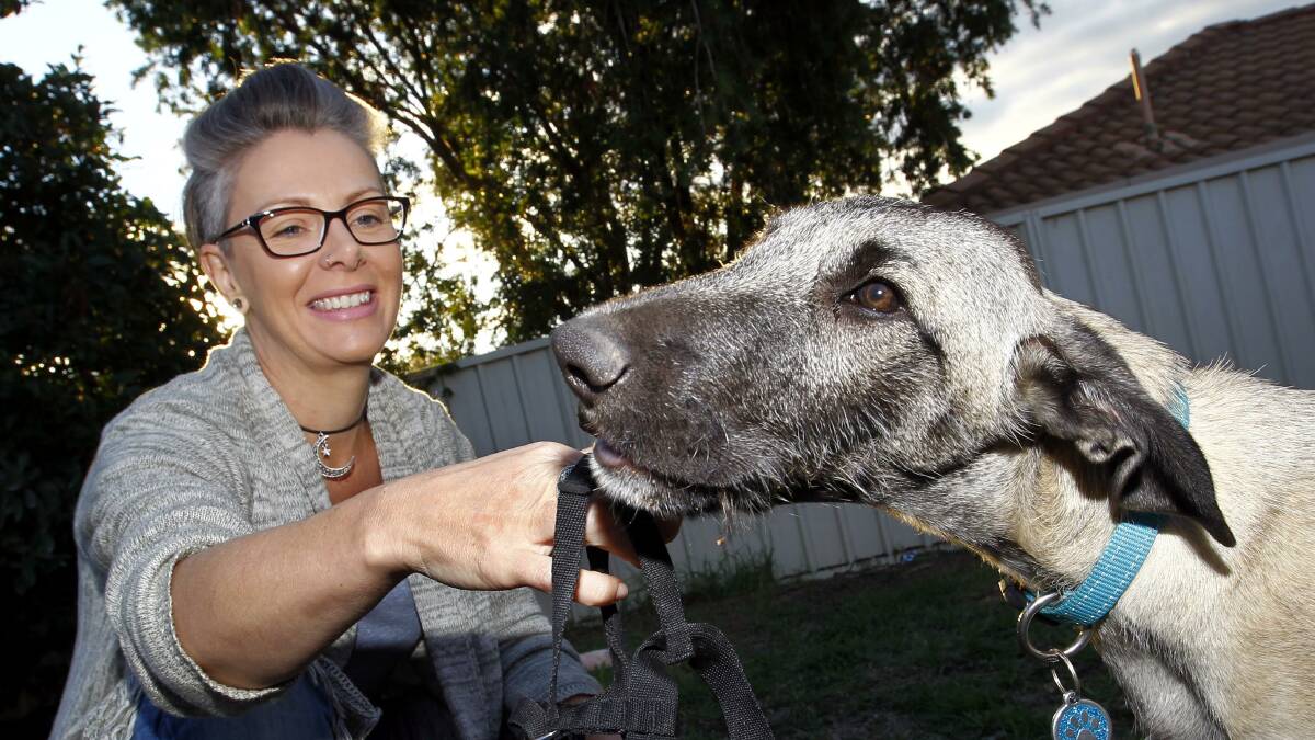 MUZZLE UP: Elvis, a 14-week-old staghound-cross, and Cathy Southwell, who believes pet owners with large dogs should consider using muzzles. Picture: Les Smith 