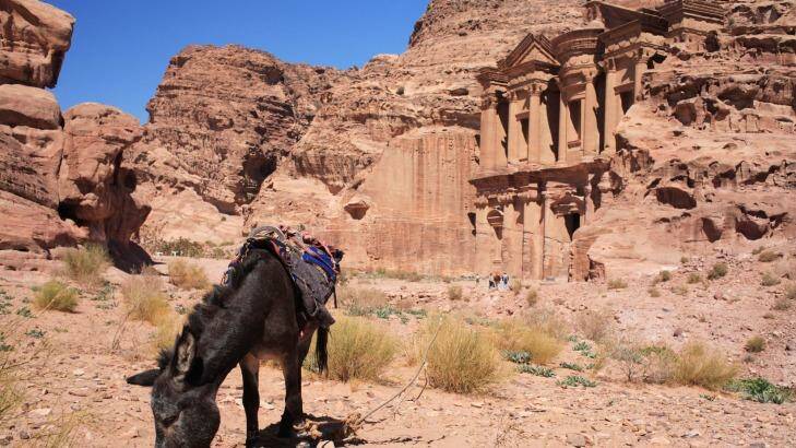 A donkey grazes outside Al Deir Monastery near Petra, Jordan. Photo: Prisma Bildagentur AG / Alamy
