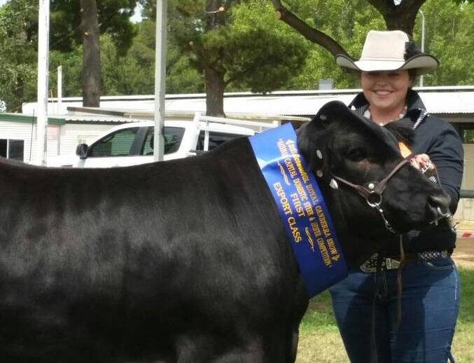ROYAL WINNER: Samantha Fletcher and her prize winning Limousin steer at the Royal Canberra Show.
