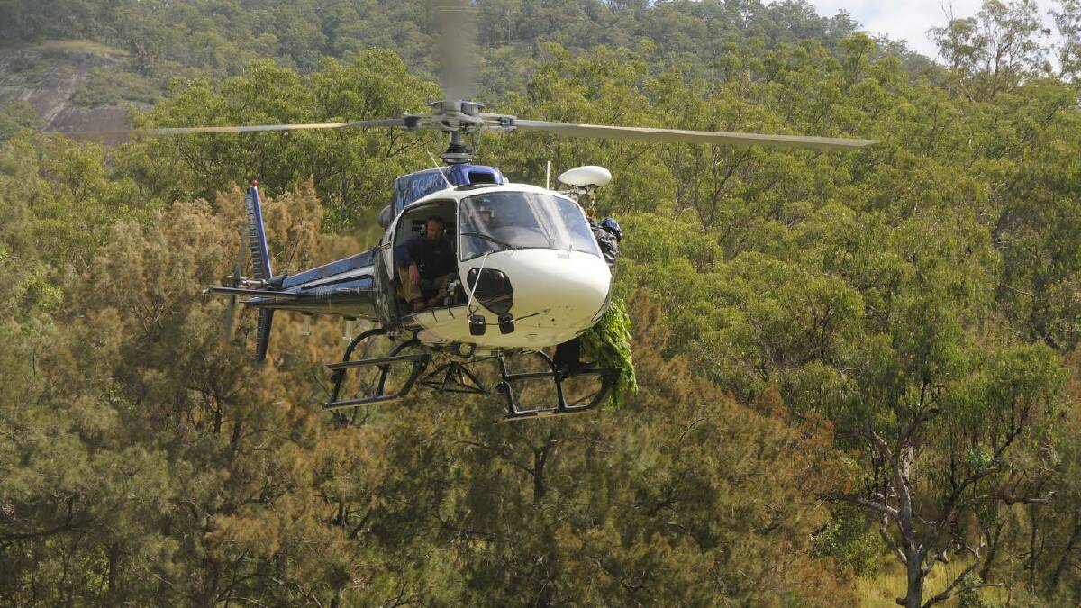 NSW Police Air Wing hovers above the site of one of the crops discovered in the region.