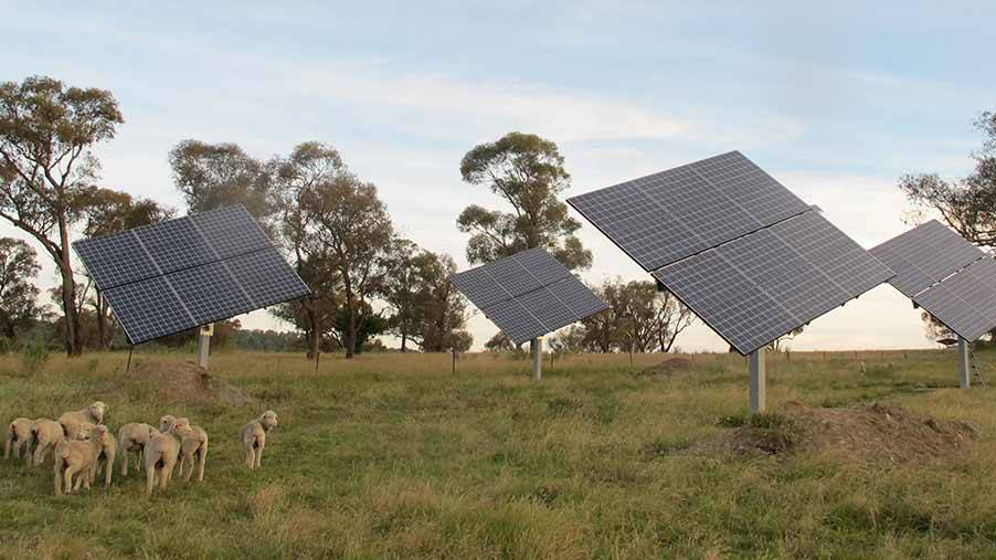 Tenterfield has put their name in the mix to be considered as a prototype town in a zero energy net proposal.