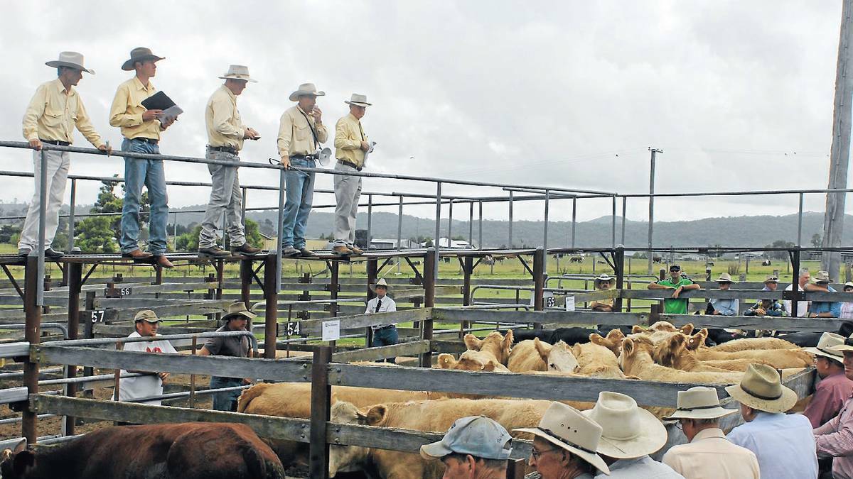 Tenterfield's saleyards have been boosted by record prices in recent weeks.
