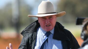 BORDERLINE BARNABY: Barnaby Joyce has called for hardline measures to prevent foot and mouth disease entering Australia. Photo: Greth Gardener