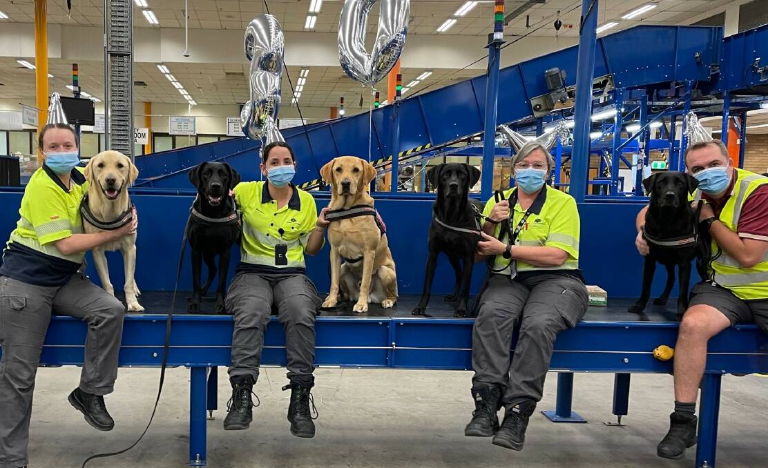 Pawsome job opportunities for biosecurity sniffer dog handlers
