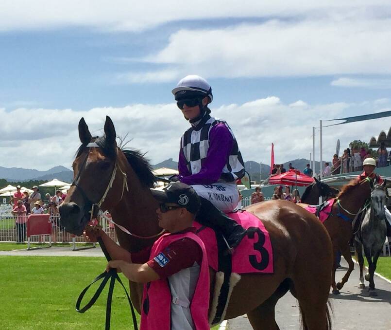 LOCAL HORSE: Amajill is coming into top form just in time for the Deepwater Cup. Locals are hoping the mare will go one better to win in 2018.
