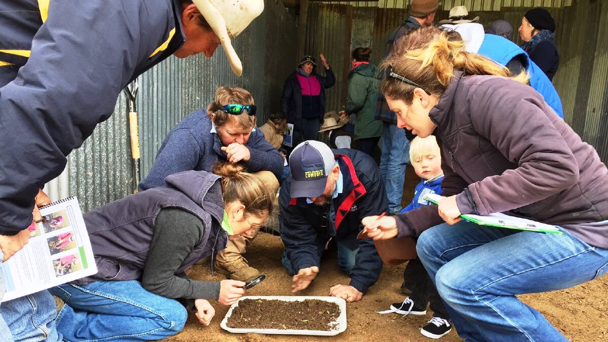 Sign on: The upcoming Ladies in Livestock field days will help you understand the benefits of soil testing and knowing your soil. Photo: File