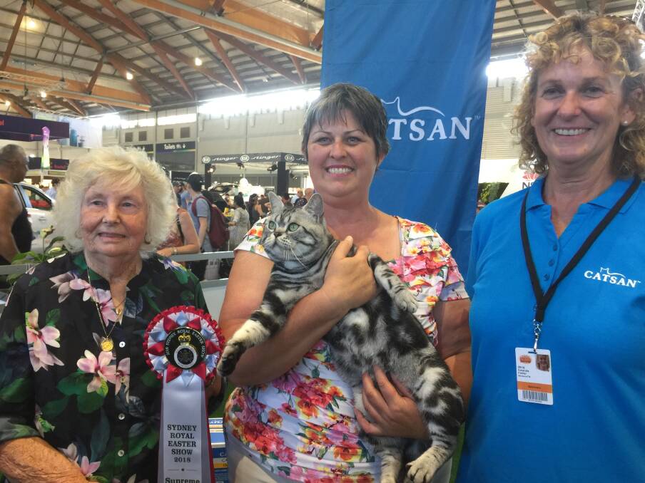 Winner: Judge Annette Joesbury with Trish Scrivener holding Rocky, the supreme exhibit and Amanda Fisher from sponsor of the Sydney Royal cat show, Catsan.