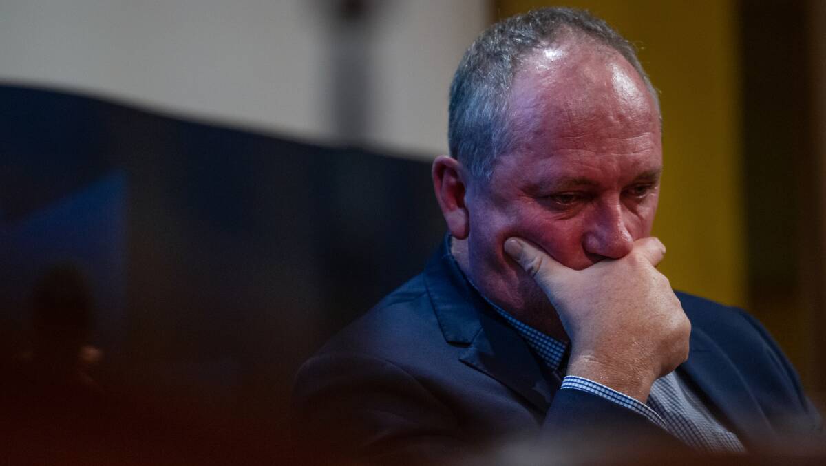 COALITION WEAKNESS: Barnaby Joyce was used to wedge the Liberals in inner-city seats . Photo: Marina Neil