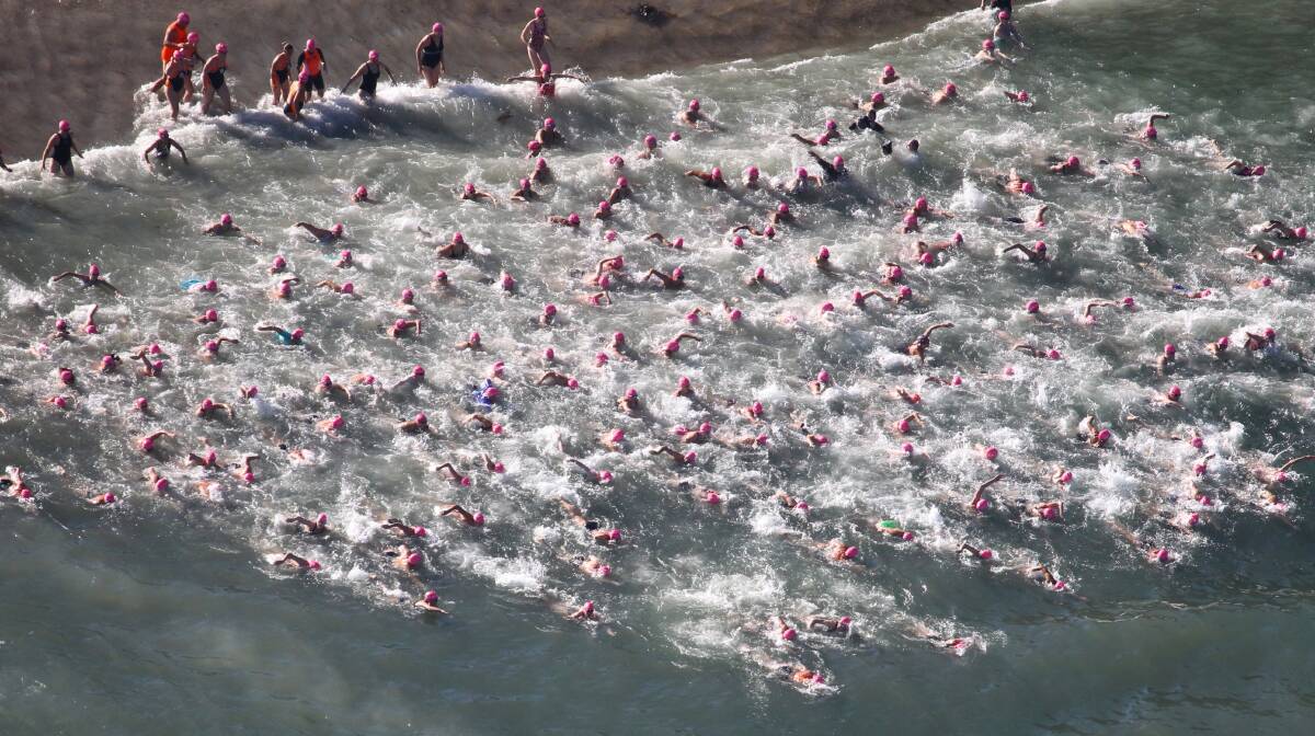 The 1 kilometre swimmers set off in 2012. Picture: Peter Rae