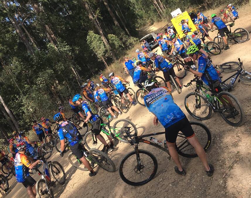 Mountain trek: The riders take a break in the forest between Grafton and Dalmorton on the 500km journey from the coast to the bush, last week.