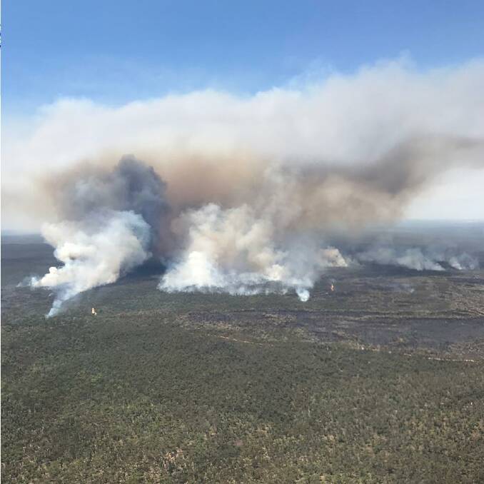 RAGING FIRE: Rural Fire Service crews are battling to contain the southern edge of the bushfire burning in the Pilliga National Park. Photo: NSW Rural Fire Service