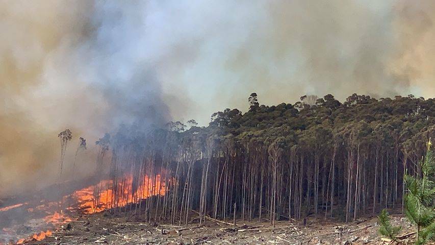 A dozen firefighting crews and three choppers tried to contain the fire. Photo: Fabian Norrie/GOFABVIDS