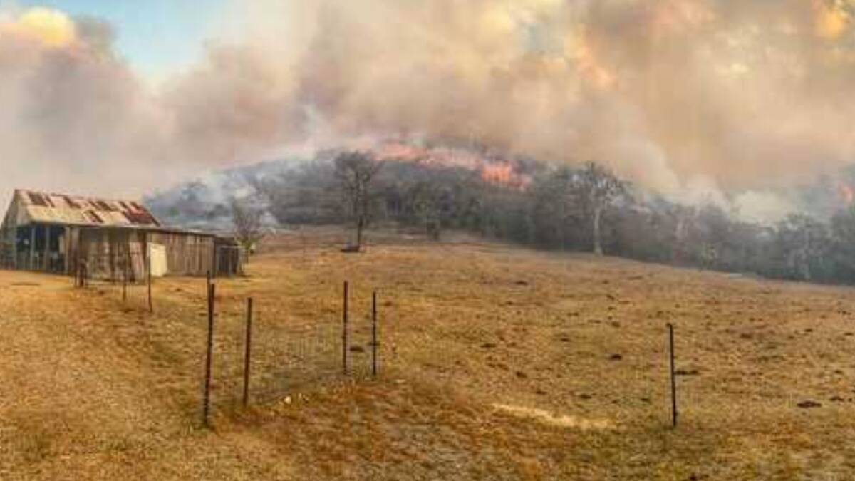 The Tenterfield fire front on Friday. Photo: Fire & Rescue Narrabri