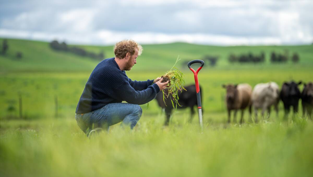 Local Land Services are offering up to two feed quality tests, one water quality test and soil testing free of charge to producers. Photo Shutterstock