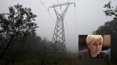 The second inquiry was chaired by NSW Greens MP Cate Faehrmann, inset. It called for a hybrid approach of underground and overhead transmission lines when connecting renewable energy zones.