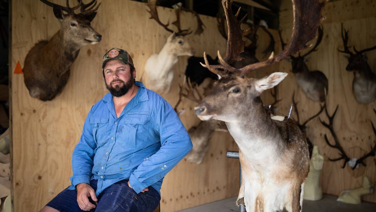Brian Anderson, a Taxidermist from Glen Innes, has a pet deer called Usain. Photo Jim A. Barker
