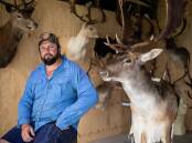 Brian Anderson, a Taxidermist from Glen Innes, has a pet deer called Usain. Photo Jim A. Barker
