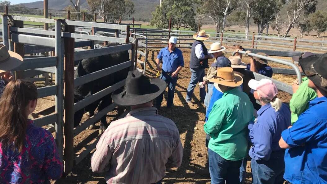 Mobile vet clinic rolls into breeding cattle seminar