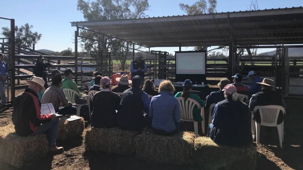 Mobile vet clinic rolls into breeding cattle seminar