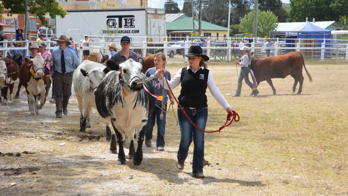 What you need to know about entries for the Tenterfield Show