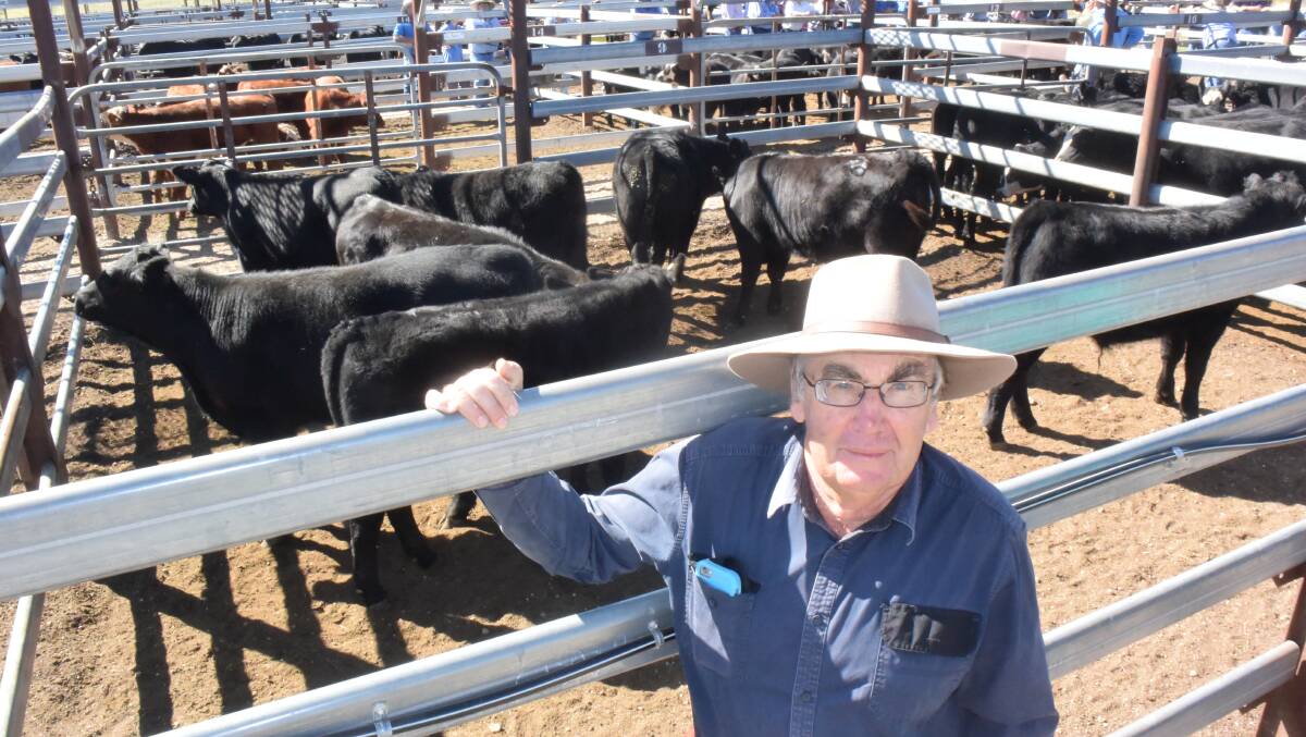 Brian Chorley, Chipstaple, Tenterfield, sold Angus steers to 518c/kg at the Harold Curry weaner sale on Thurday.