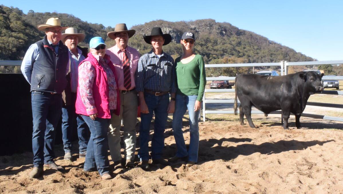 Lot 16 Alumy Creek Compass N055 sold for $15,000 to Matt and Jackie Tennyson, Taroom, Qld pictured with stud principals Colin Keevers and Lisa Martin and auctioneers Darren Perkins and Brian Kennedy.