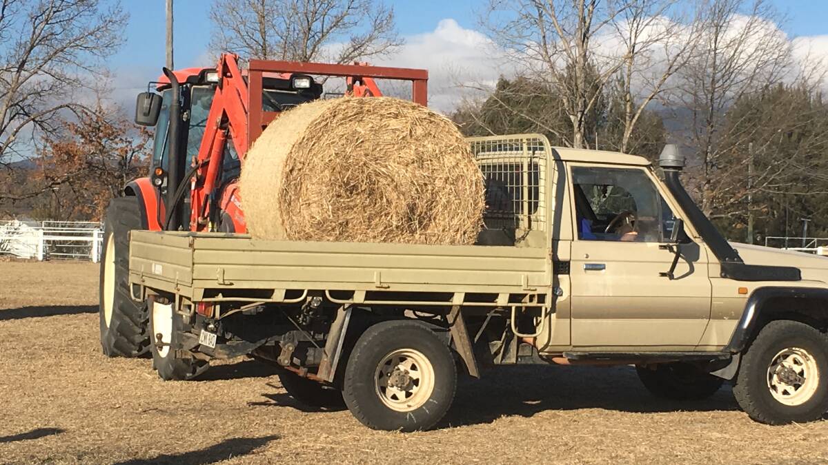 60 more free hay bales for struggling farmers