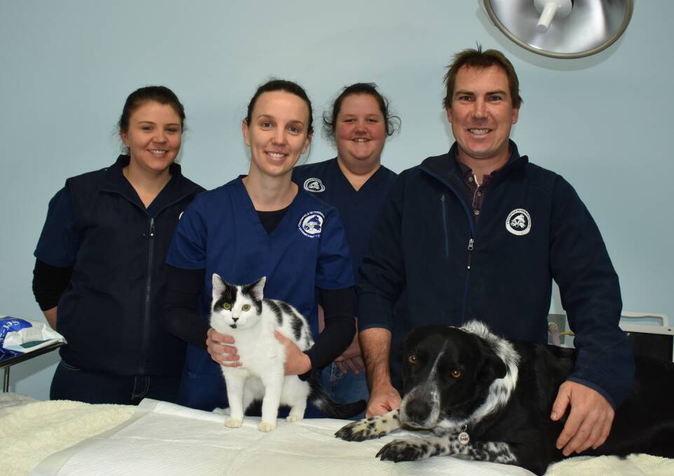 Tenterfield Veterinary Clinic's Lucinda Colley, Julie-Anne Lindop, Bella Hamilton and Luke Annetts (along with the desexed Pickles the cat and Belle the dog) are gearing up for pet desexing month.