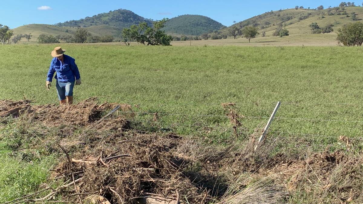 The paddocks are green but the flooding left structural damage as Sandra Smith, along with many Mole River farmers, deals with the consequences.