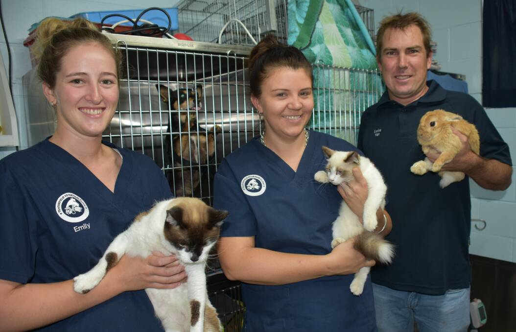 Emily Butler, Lucinda Colley and Luke Annetts of Tenterfield Veterinary Clinic cuddle up with some family pets displaced by the Tabulam fire.
