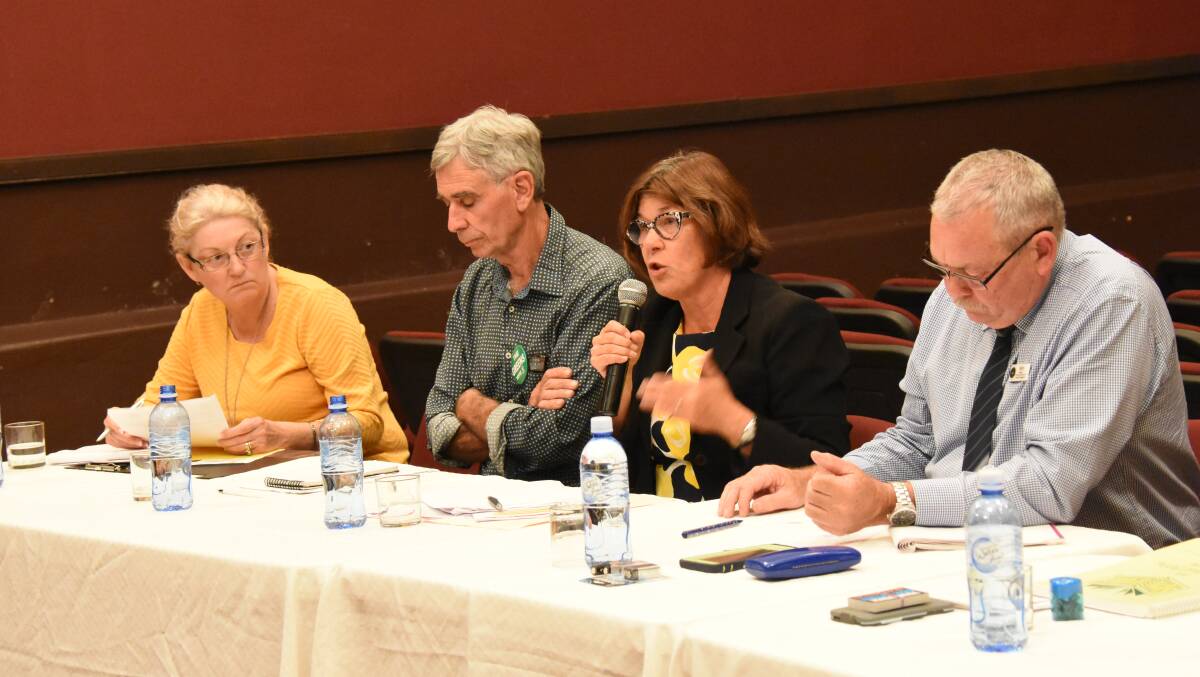 Labor's Yvonne Langenberg responds to a question, pictured with Christian Democratic Party's Julie Collins, the Greens' Tony Lonergan and moderator Harry Bolton.