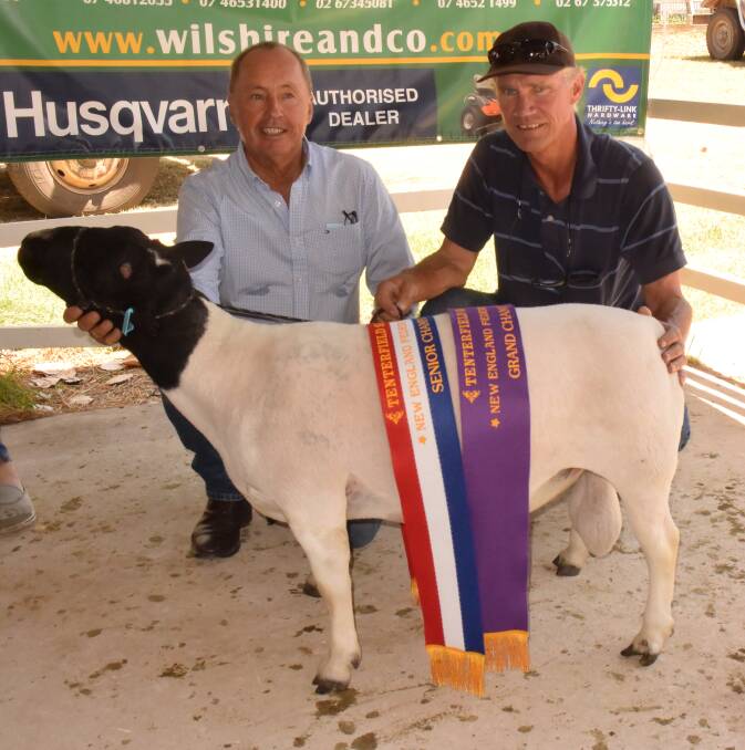 Dorper judge David Curtis with Ross Nicholson of Skeldale Dorpers with Grand Champion ram 'Appollo'.