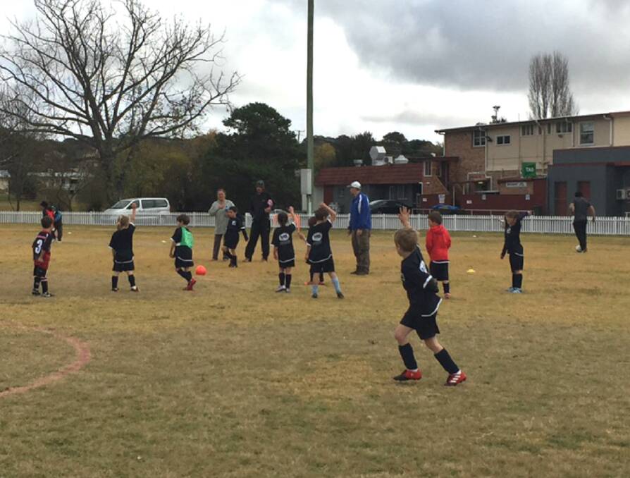 CALLING FOR THE BALL: Tenterfield's under 7s in a 'friendly' against Stanthorpe United, giving the players good preparation for the carnival on Sunday,. 