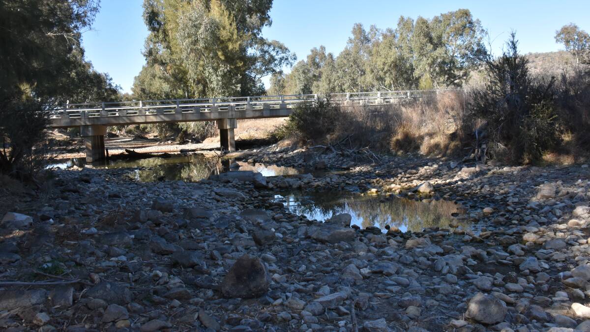 The mighty Mole River, pictured here at the Mingoola crossing, hasn't flowed since April and has been reduced to a series of puddles.