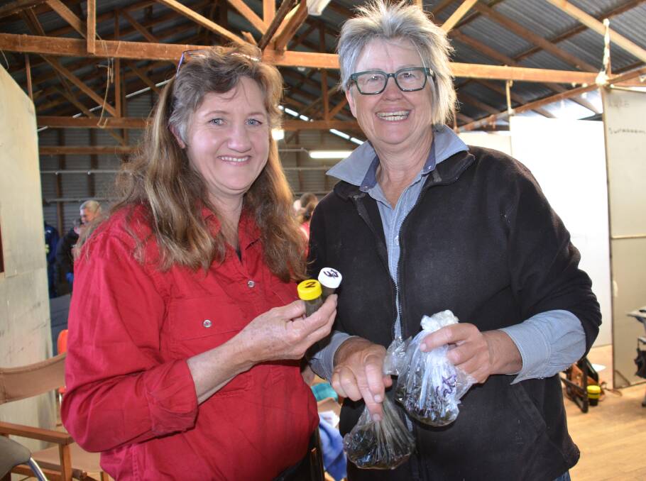 WormBoss's Deb Maxwell and sheep producer Jude Cox at the workshop on 'Kurrajong' on November 1.